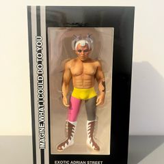 Exotic Adrian Street Wrestling Figure (autographed) - WWE WCW ECW TNA AEW