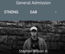Stephen Wilson Jr Dublin Concert ticket x1