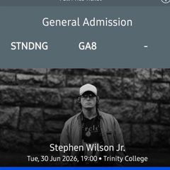 Stephen Wilson Jr Dublin Concert ticket x1