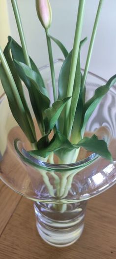 Tall Glass Vase