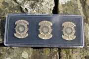 green set Irish Easter Rising, Irish Independence, Irish Civil War Commemoration badges
