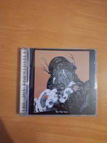 CD The Joy Formidable The Big Roar