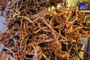 Red Moor Wood Aquarium