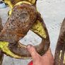 4 leg lifting chains Image 2
