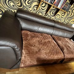 2-3 seater coach