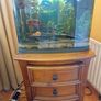 Love Fish Panorama aquarium 40L Image 4