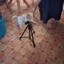Camera tripod Image 8