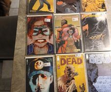 Walking Dead comic bundles/joblots 15 comics including a Adlard signed issue variants plus keys.