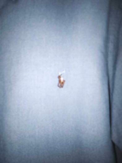 Polo ralph Lauren shirt