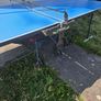 Stiga Outdoor Table Tennis Image 2