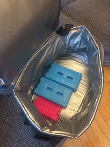 large cooler bag