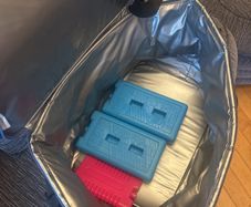 large cooler bag