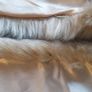 Fur Stole Image 4
