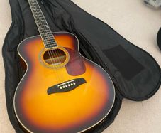 Brunswick acoustic guitar with soft carry case, barely used