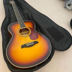 Brunswick acoustic guitar with soft carry case, barely used