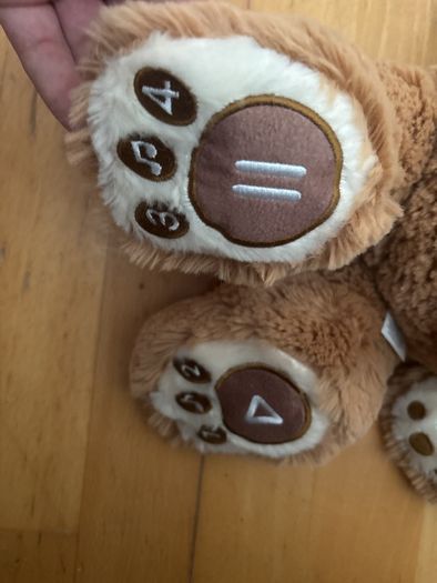 Garry Fleming's Talking Honeypot Teddy Bear Soft Plush Book Toy "Bear Feels"
