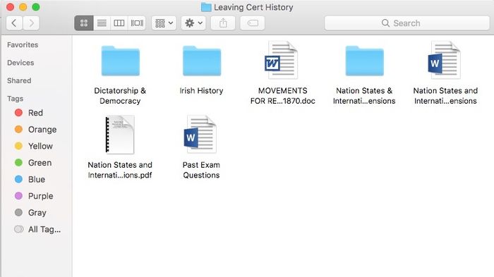 Leaving Cert History A1 Essays/Notes