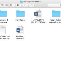 Leaving Cert History A1 Essays/Notes