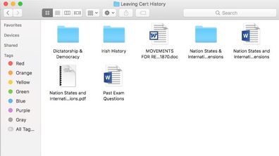 Leaving Cert History A1 Essays/Notes