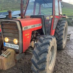 Massey Ferguson 290