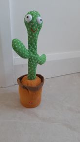 Dancing Cactus
