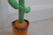 Dancing Cactus