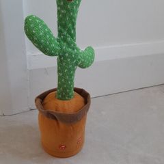 Dancing Cactus