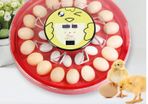 Automatic Rotating Egg Incubator, Mini Smile Incubator Machine, Temperature Control, 30pcs, Novelty