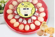 Automatic Rotating Egg Incubator, Mini Smile Incubator Machine, Temperature Control, 30pcs, Novelty
