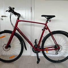 Trek FX 1 Disc Hybrid Bike XXL Frame