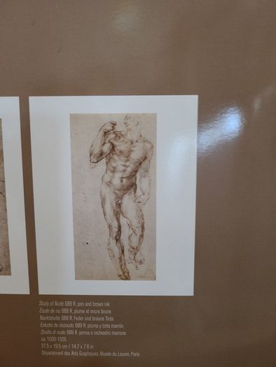 Michelangelo Prints