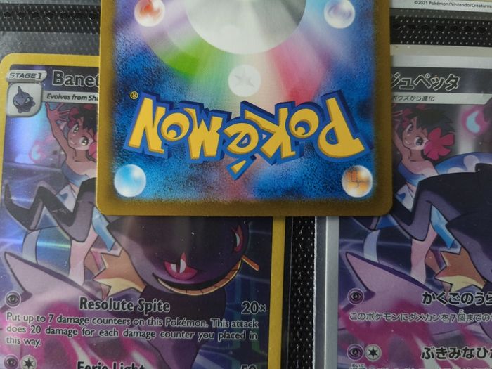 Computer Search ! from Classic Collectors Box ! 2023 ! Japanese Pokemon Card !