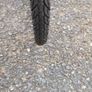 Bike size L Image 10