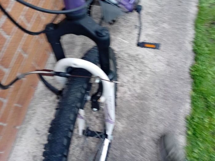 adults mountain bike
