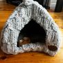 cat Image 5