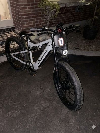 Electric full sus bike