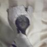 a sculptor of a lady by hester levinge scott Image 2