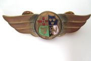 Rare Irish Flight-type Badge