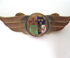 Rare Irish Flight-type Badge