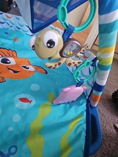 Finding Nemo activity gym
