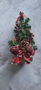 xmas tree