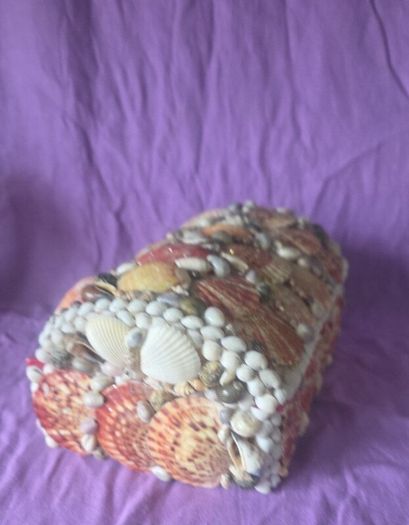 Collectable shell box