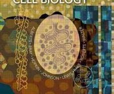 Essential Cell Biology