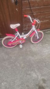 Free kids bike