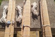 Bamboo roller Blinds