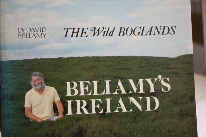The Wild Boglands