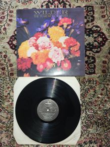 The Teardrop Explodes: Wilder LP Ireland