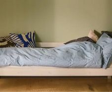 Single flexa bed