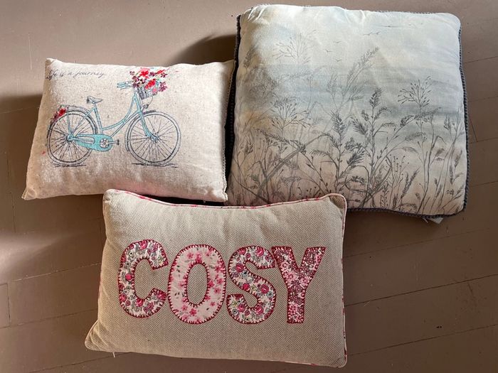 3 Decorative Cushions