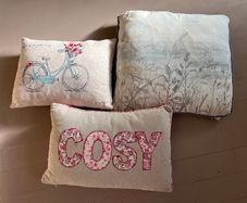 3 Decorative Cushions
